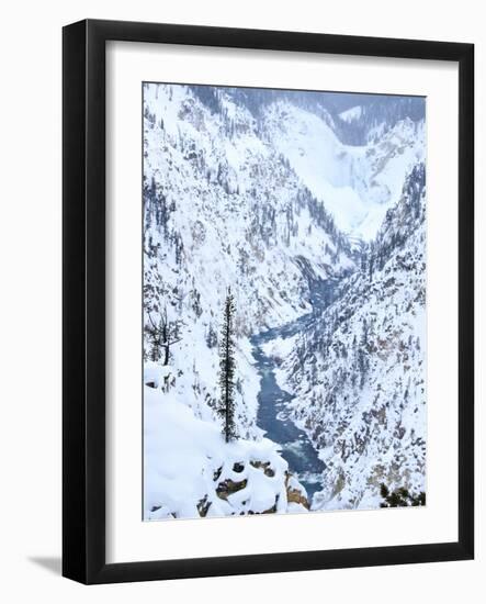 Artists Point of Grand Canyon Yellowstone in Winter, Yellowstone National Park, UNESCO World Herita-Kimberly Walker-Framed Photographic Print