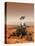 Artists Rendition of Mars Rover-Stocktrek Images-Stretched Canvas