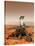 Artists Rendition of Mars Rover-Stocktrek Images-Stretched Canvas