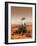 Artists Rendition of Mars Rover-Stocktrek Images-Framed Photographic Print