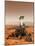 Artists Rendition of Mars Rover-Stocktrek Images-Mounted Photographic Print