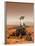 Artists Rendition of Mars Rover-Stocktrek Images-Framed Photographic Print