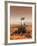 Artists Rendition of Mars Rover-Stocktrek Images-Framed Photographic Print