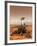 Artists Rendition of Mars Rover-Stocktrek Images-Framed Photographic Print