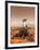 Artists Rendition of Mars Rover-Stocktrek Images-Framed Photographic Print