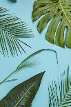 Tropical Leaves-artjazz-Photographic Print