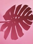 Leaves on a Pink Background-artjazz-Mounted Photographic Print