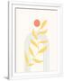 Gramercy White