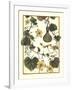 Arts and Crafts Gourd-M. P. Verneuil-Framed Art Print