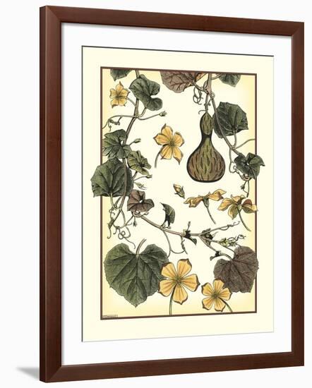 Arts and Crafts Gourd-M. P. Verneuil-Framed Art Print