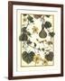 Arts and Crafts Gourd-M. P. Verneuil-Framed Art Print