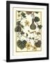 Arts and Crafts Gourd-M. P. Verneuil-Framed Art Print