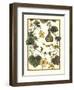 Arts and Crafts Gourd-M. P. Verneuil-Framed Art Print