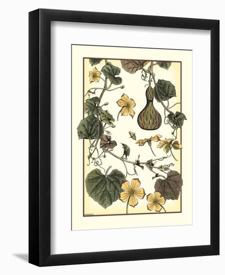 Arts and Crafts Gourd-M. P. Verneuil-Framed Art Print