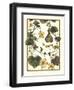 Arts and Crafts Gourd-M. P. Verneuil-Framed Art Print