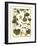 Arts and Crafts Gourd-M. P. Verneuil-Framed Art Print
