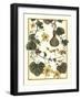 Arts and Crafts Gourd-M. P. Verneuil-Framed Art Print