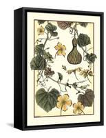 Arts and Crafts Gourd-M. P. Verneuil-Framed Stretched Canvas