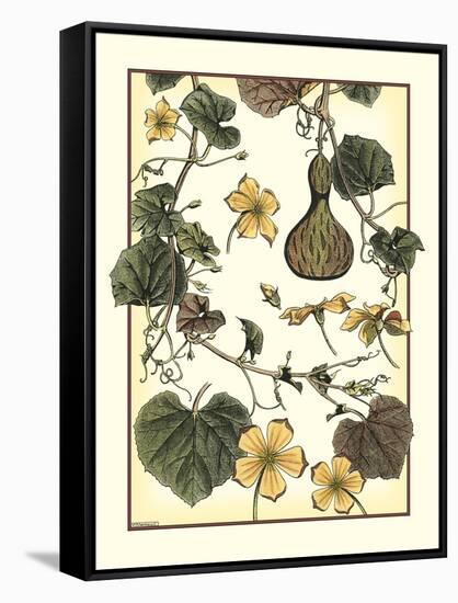 Arts and Crafts Gourd-M. P. Verneuil-Framed Stretched Canvas