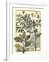 Arts and Crafts Oak-M.P. Verneuil-Framed Art Print