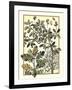 Arts and Crafts Oak-M.P. Verneuil-Framed Art Print