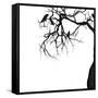 Canvas Black