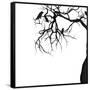 Canvas Black