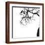 Brown Frame