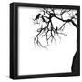 Essential Black
