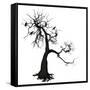 Canvas Black