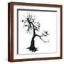 Brown Frame