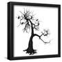 Essential Black