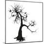 Wood Mount