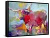 arttlong-Richard Wallich-Framed Stretched Canvas