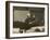 Arturo Toscanini Italian Conductor Known for His Dynamic Style Conducting in 1936-null-Framed Photographic Print