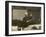 Arturo Toscanini Italian Conductor Known for His Dynamic Style Conducting in 1936-null-Framed Photographic Print