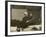 Arturo Toscanini Italian Conductor Known for His Dynamic Style Conducting in 1936-null-Framed Photographic Print