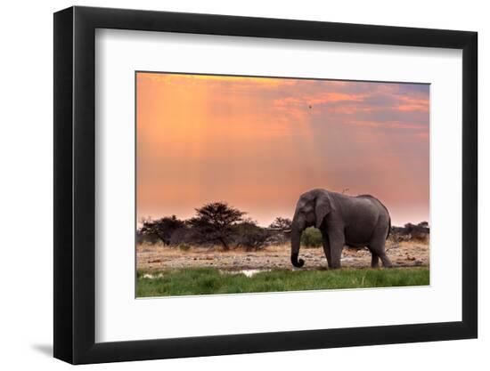 Premium Photographic Print, , large