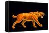 Artwork of a Sabre-toothed Cat (Smilodon Sp.)-Joe Tucciarone-Framed Stretched Canvas