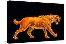 Artwork of a Sabre-toothed Cat (Smilodon Sp.)-Joe Tucciarone-Stretched Canvas