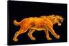 Artwork of a Sabre-toothed Cat (Smilodon Sp.)-Joe Tucciarone-Stretched Canvas