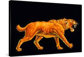 Artwork of a Sabre-toothed Cat (Smilodon Sp.)-Joe Tucciarone-Stretched Canvas