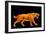 Artwork of a Sabre-toothed Cat (Smilodon Sp.)-Joe Tucciarone-Framed Premium Photographic Print