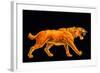 Artwork of a Sabre-toothed Cat (Smilodon Sp.)-Joe Tucciarone-Framed Premium Photographic Print
