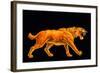 Artwork of a Sabre-toothed Cat (Smilodon Sp.)-Joe Tucciarone-Framed Premium Photographic Print