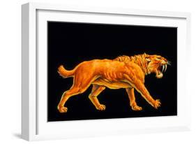 Artwork of a Sabre-toothed Cat (Smilodon Sp.)-Joe Tucciarone-Framed Photographic Print