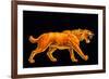 Artwork of a Sabre-toothed Cat (Smilodon Sp.)-Joe Tucciarone-Framed Photographic Print