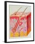 Artwork of a Section Through Human Skin-John Bavosi-Framed Photographic Print