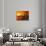 Artwork of a Space Colony on the Surface of Mars-Detlev Van Ravenswaay-Photographic Print displayed on a wall
