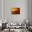 Artwork of a Space Colony on the Surface of Mars-Detlev Van Ravenswaay-Mounted Photographic Print displayed on a wall